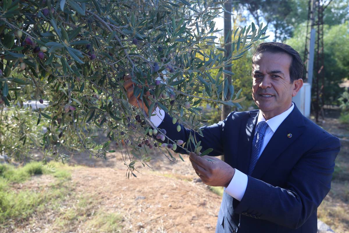 Zeytinde köklü geçmişe sahip Antalya'da coğrafi işaretli ürünler yaygınlaştırılıyor