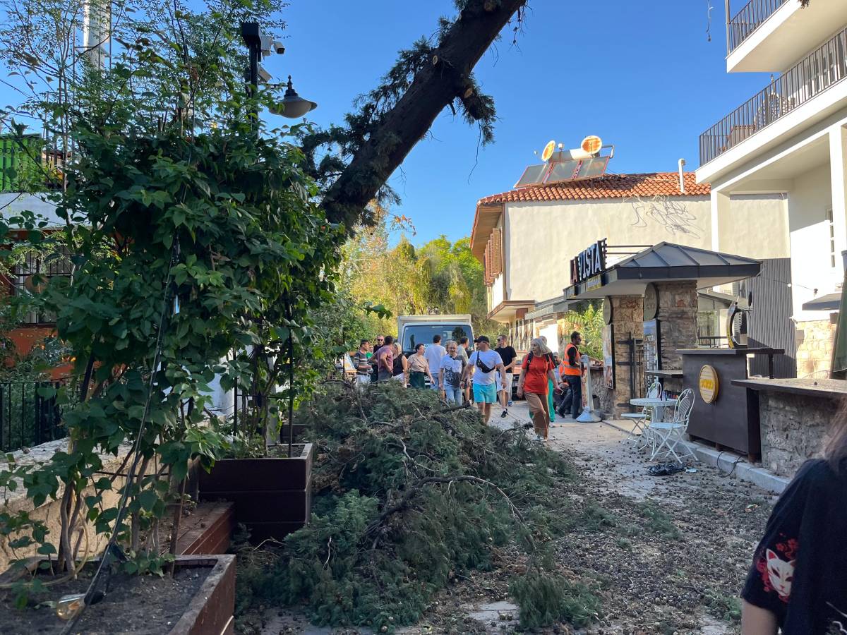 Kaleiçi'nde devrilen ağaç paniğe neden oldu