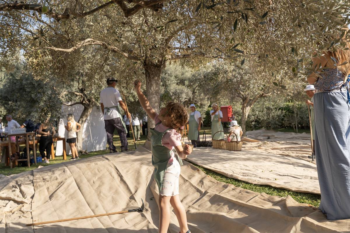 Ela’da zeytinin büyüsü Olive Fest ile gerçekleşti