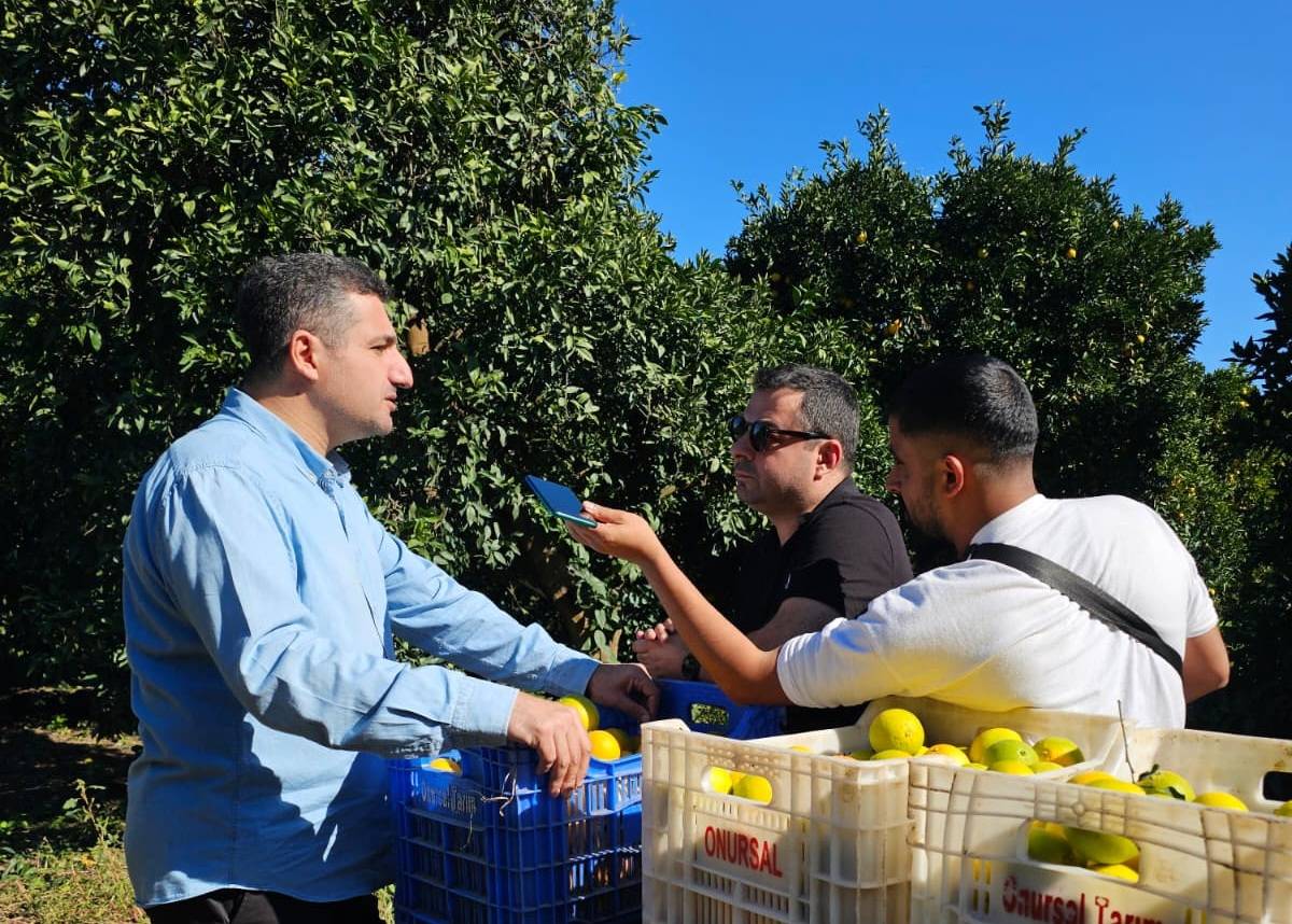 Finike Portakalında rekolte zirvede! Türkiye genelinde rekolte düştü