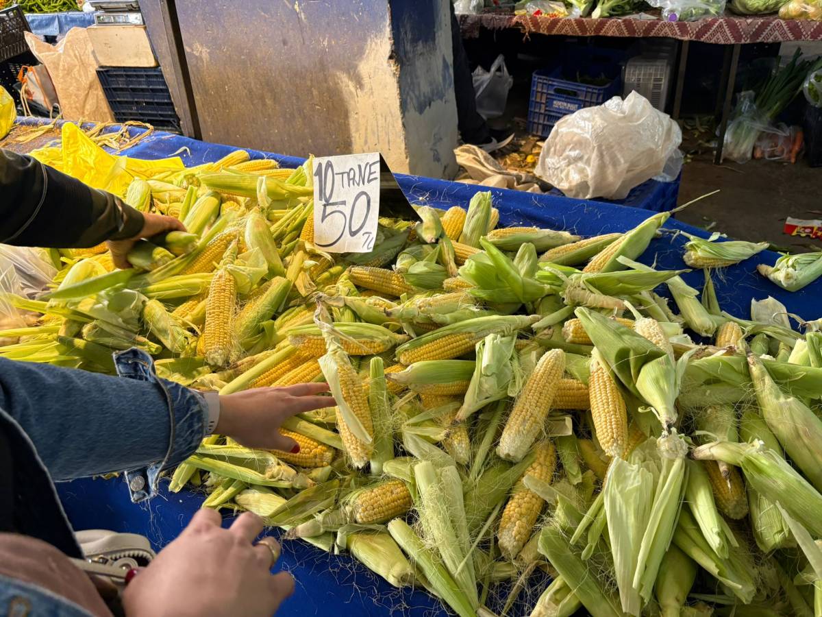 Mısır fiyatları düşüşte!