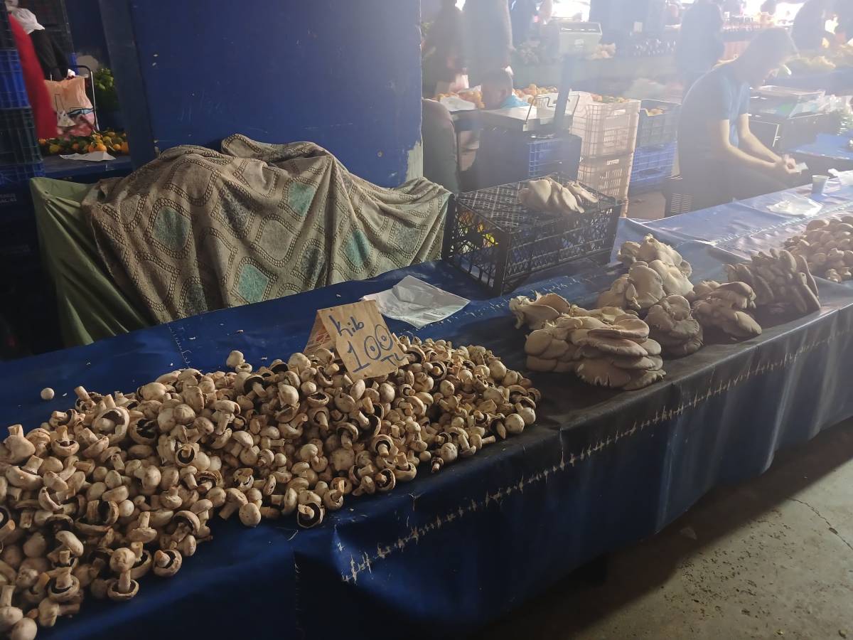 Vatandaşların gözdesi: Mantar pazar tezgâhlarında!