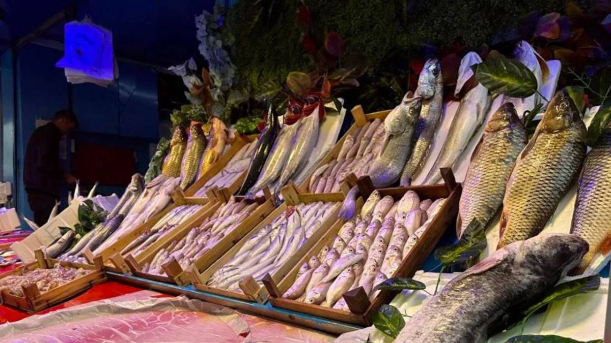 Antalya’da Kasım ayında tüketilebilecek balıklar!