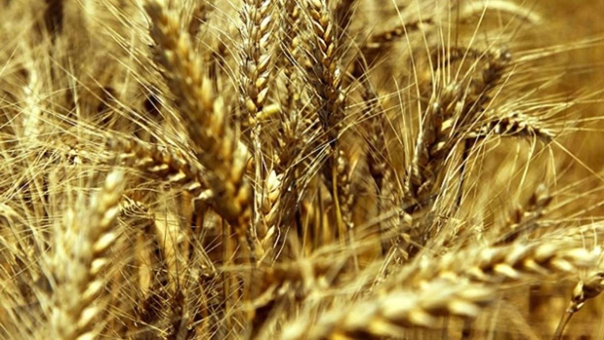 Antalya’da üretim deseni değişiyor!