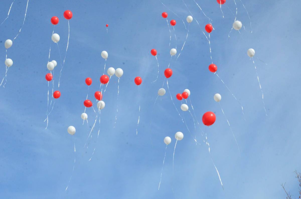 Cem Kotan, bu tür etkinlikler desteklenmeli