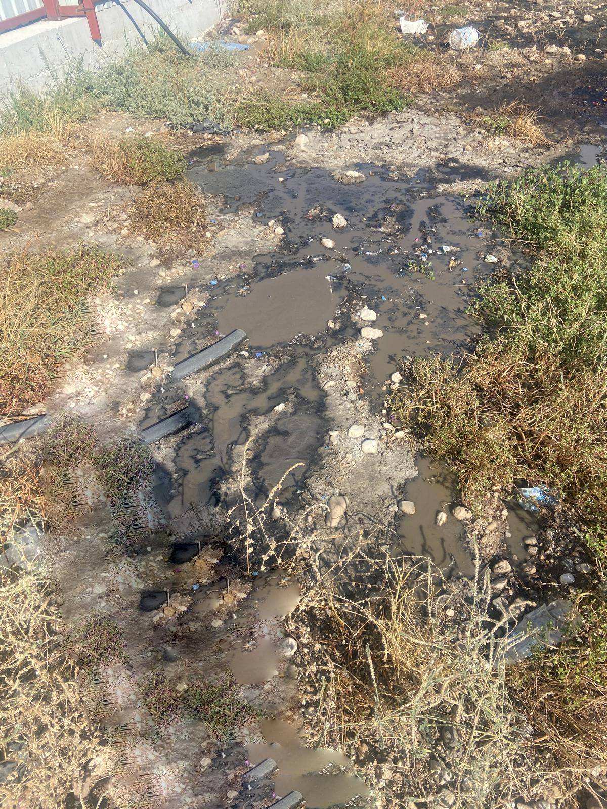 Kemer’de lisansız işletme zehir mi saçıyor!