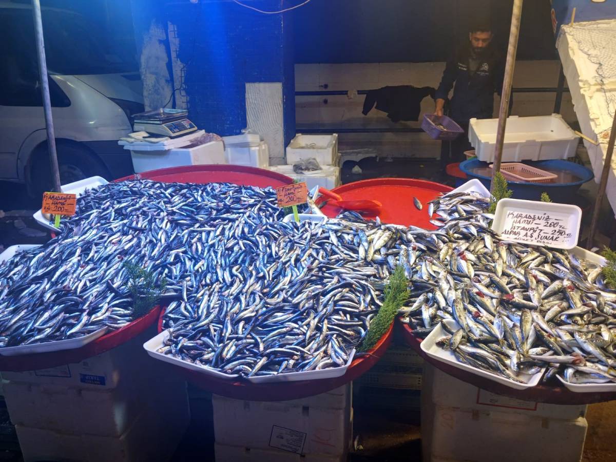 Antalya’da bu hafta balık fiyatları!