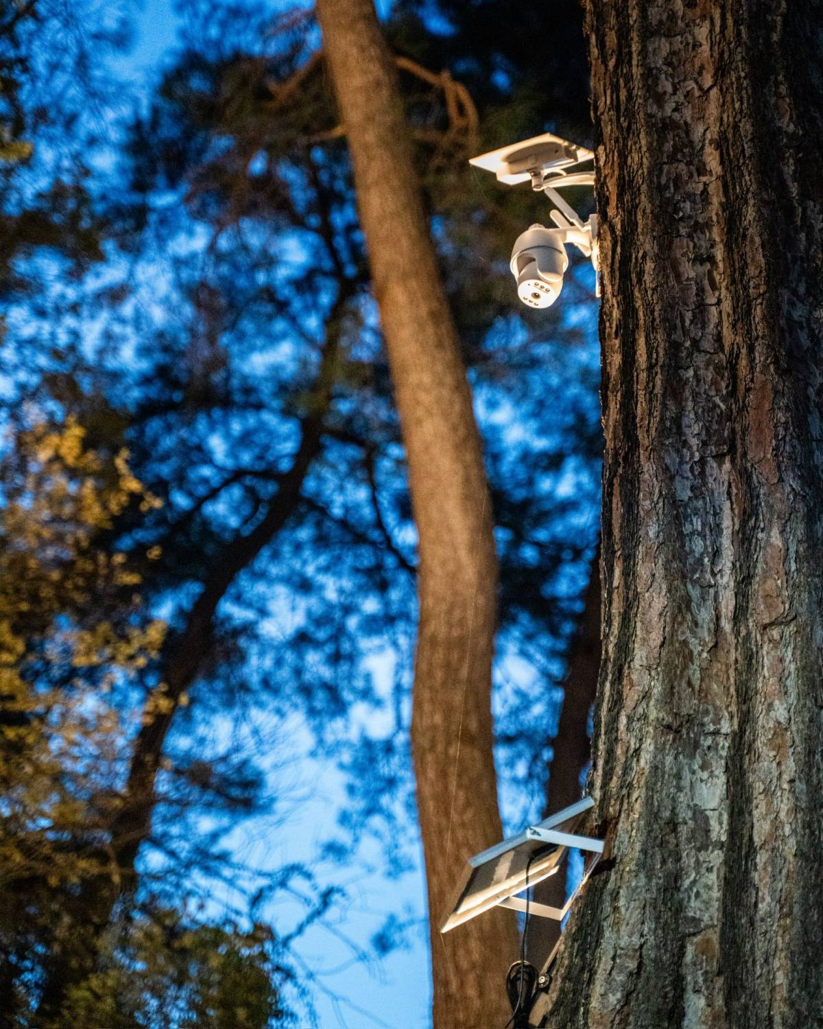 Marmaris Ticaret Odası’ndan 2 bin yıllık kaya mezarlarına kameralı koruma desteğ