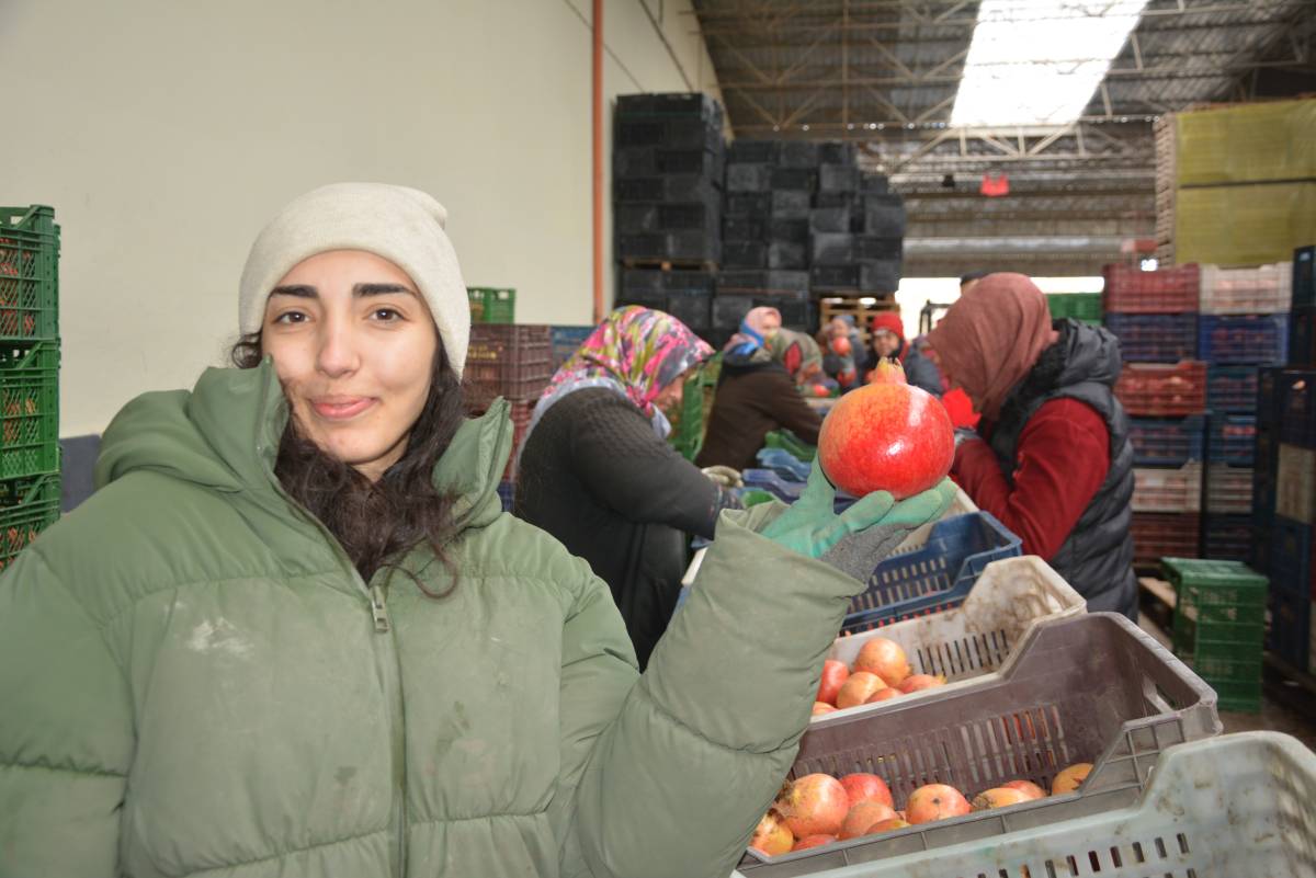Korkuteli’nden nar ihracatı başladı