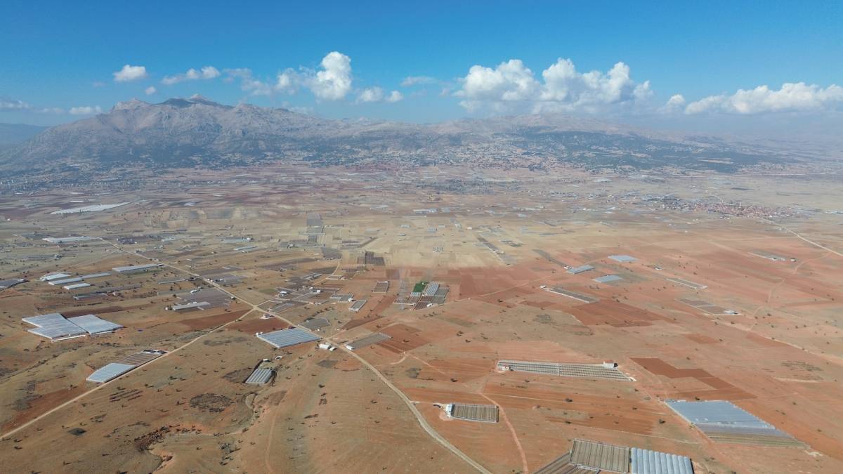 Antalya’da üretimi başladı! Kilosu 850 bin TL'ye çıkıyor