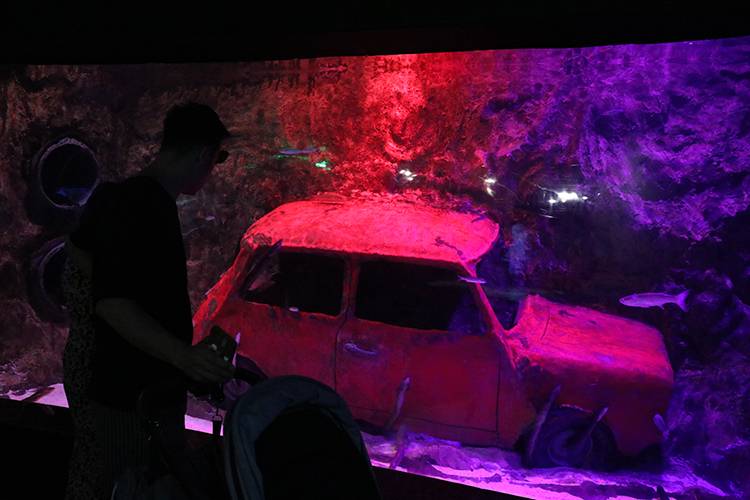 Deniz altının büyüleyici yolculuğu: Antalya Akvaryum