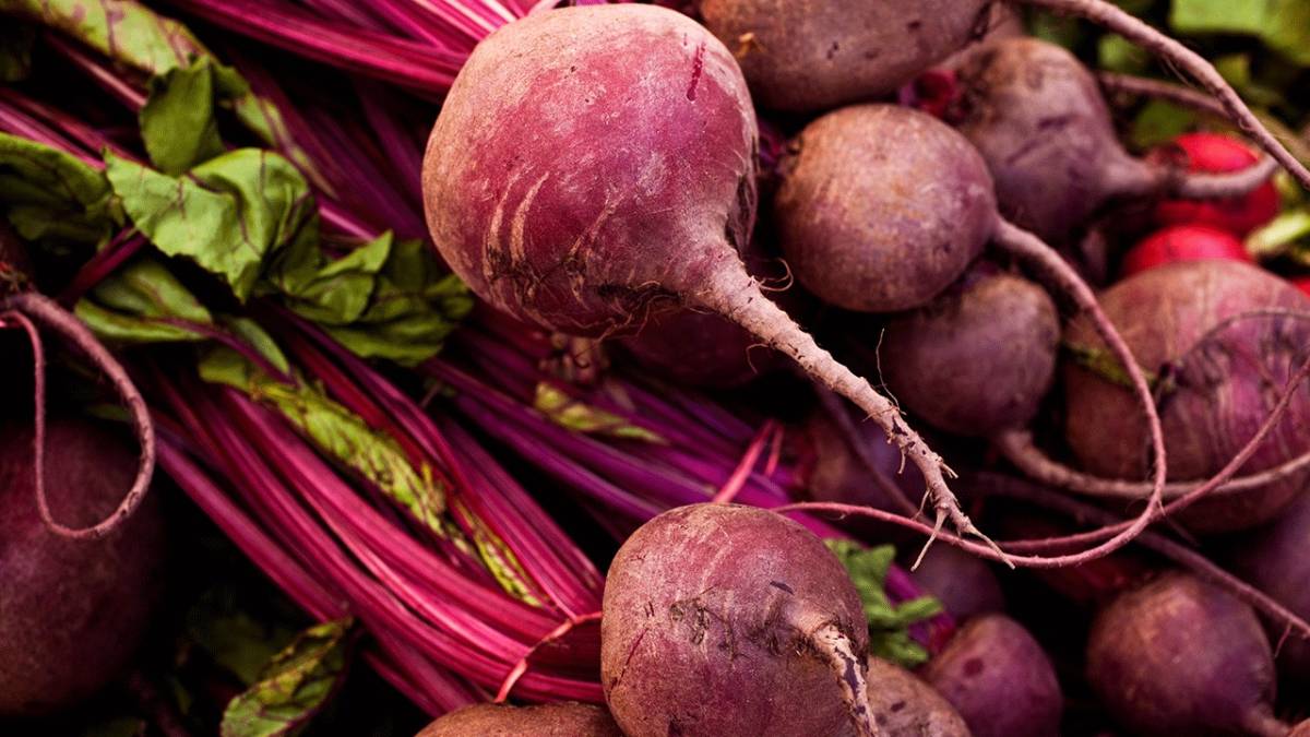 Antalya’da gençlik iksiri pancarın faydaları!