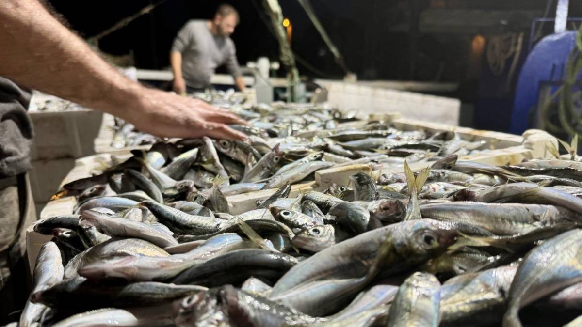Antalya’da Aralık ayının en lezzetli balıkları!