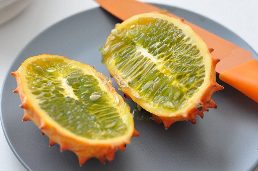 Türkiye’de bu yıl en çok arananlar belli oldu!