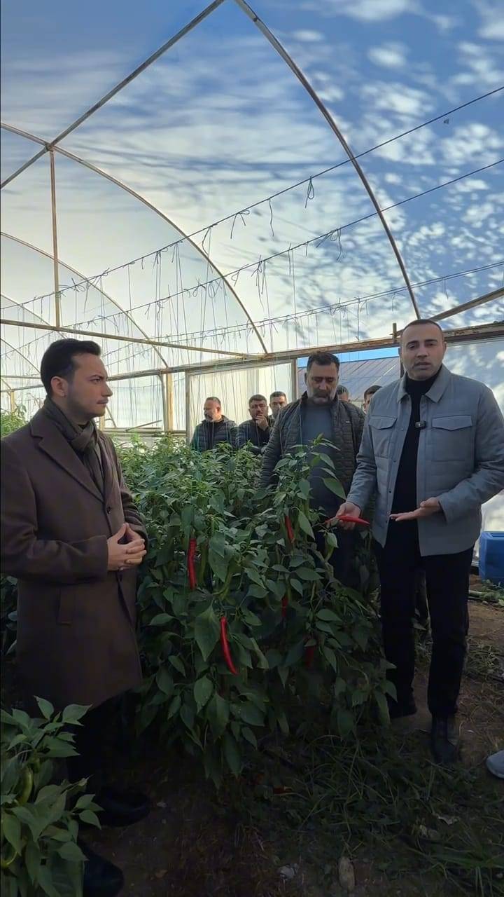 Antalya’da biber dalında kaldı!