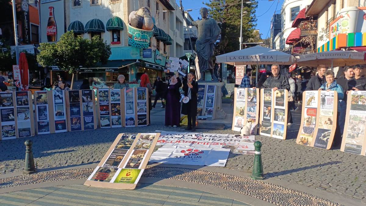 Attalos Pati Gönüllüleri’nden eylem