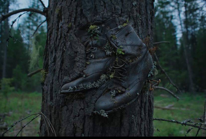 Sessiz bir hayatın hatırlattıkları