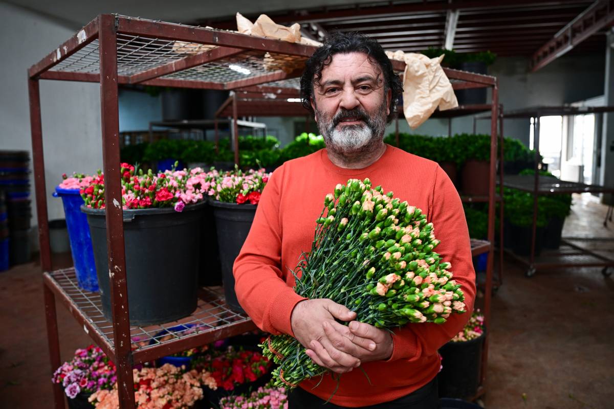 Türkiye'den 2025'te 83 ülkeye çiçek ihracatı yapıldı