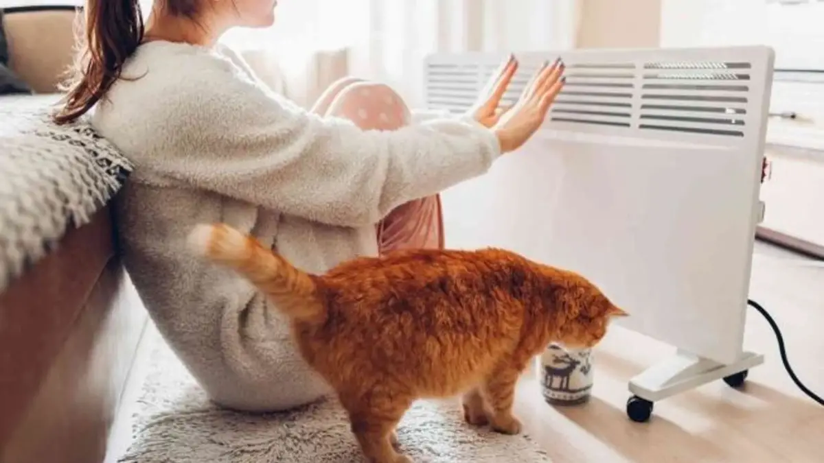 Masum görünen ısıtıcılara dikkat!