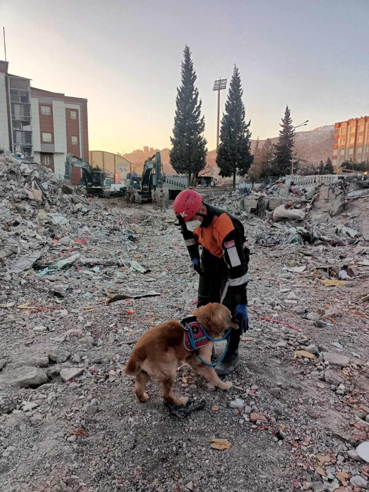 JAK köpeği 'Ocak', 8 yılda 48 can kurtardı