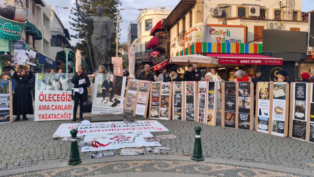 Attalos Pati Gönüllüleri ses yükseltti