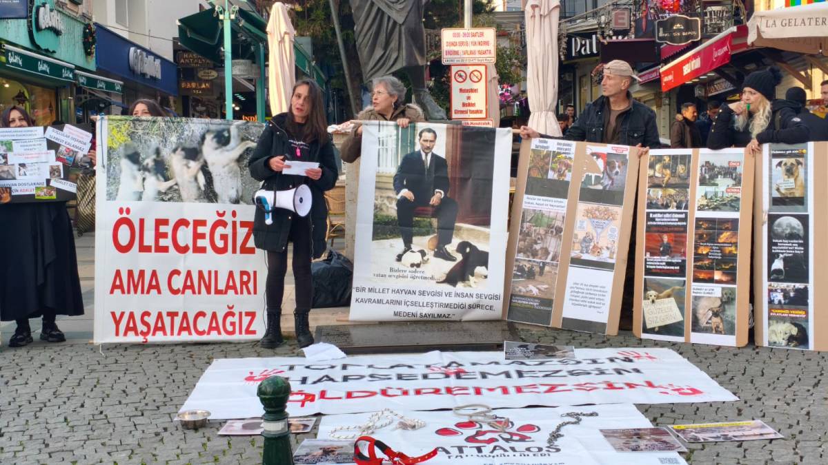 Attalos Pati Gönüllüleri ses yükseltti