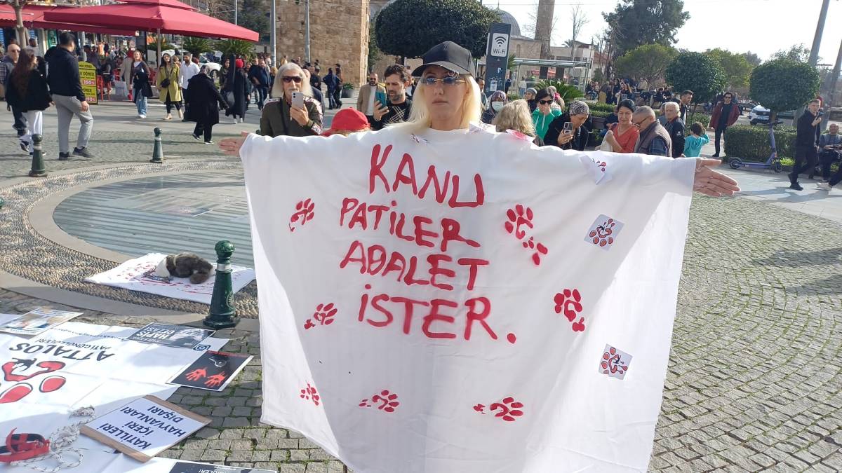 Hayvan Hakları Platformu Türkiye ve Attalos Pati Gönüllüleri’nden açıklama