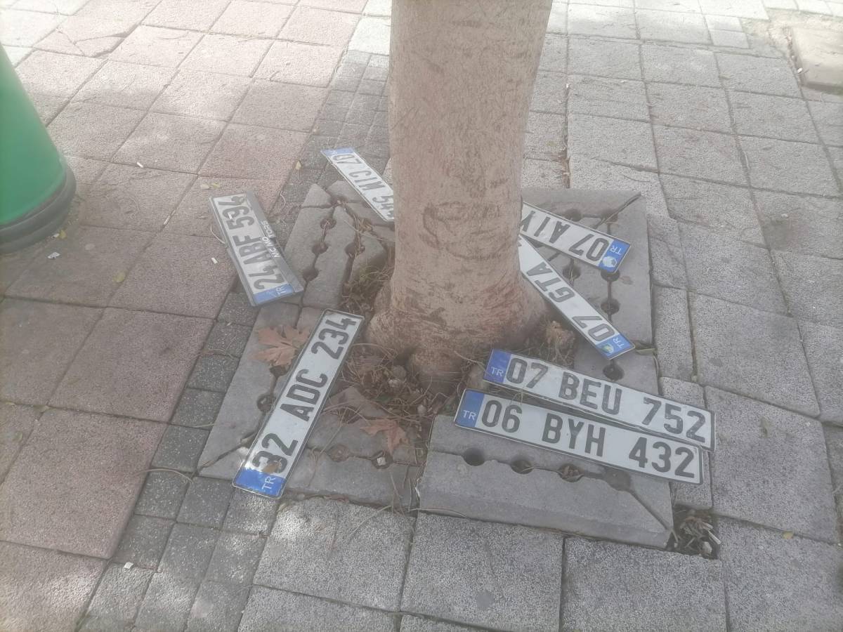 Antalya’da kayıp plakalar ağaç altına yığıldı
