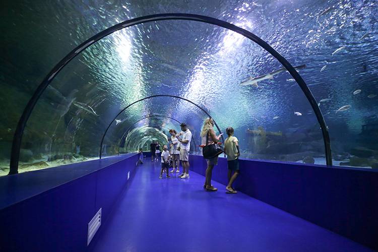 Bayramda çocukların eğleneceği en güzel rota: Antalya Akvaryum