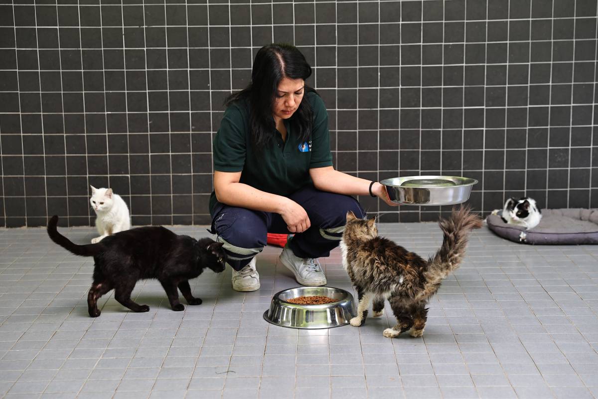 Antalya Büyükşehir Belediyesi 3 bin 324 kadın çalışanıyla kente değer katıyor