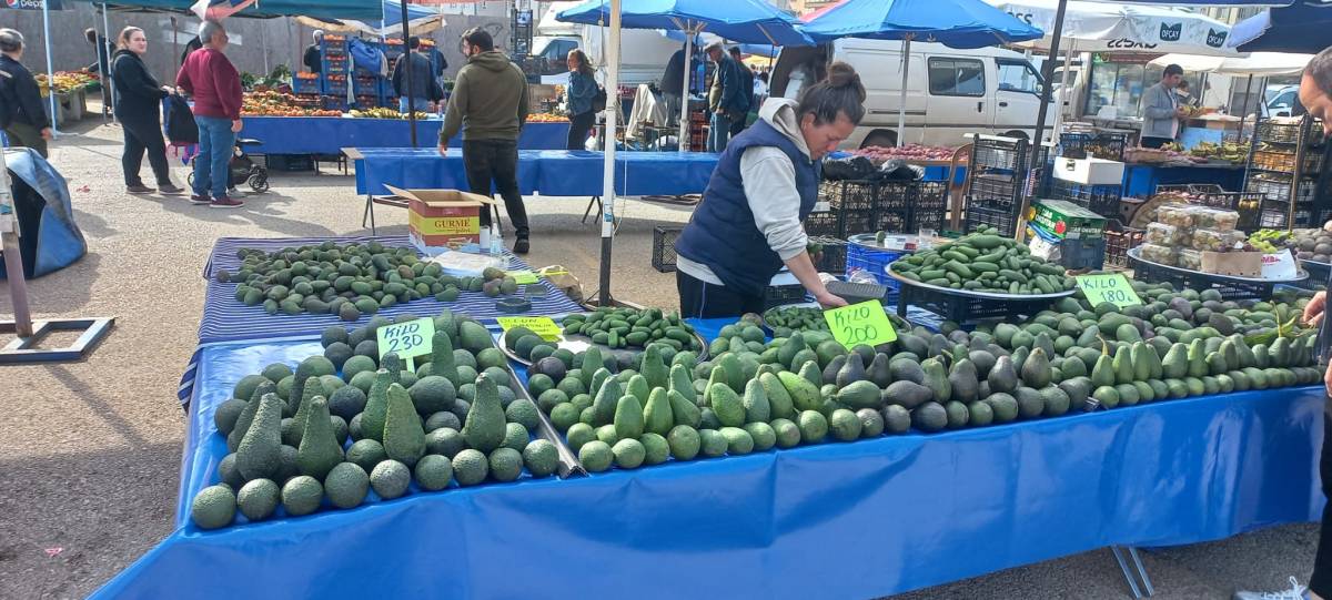 Antalya'da pazarda avokado fiyatları cep yakıyor!