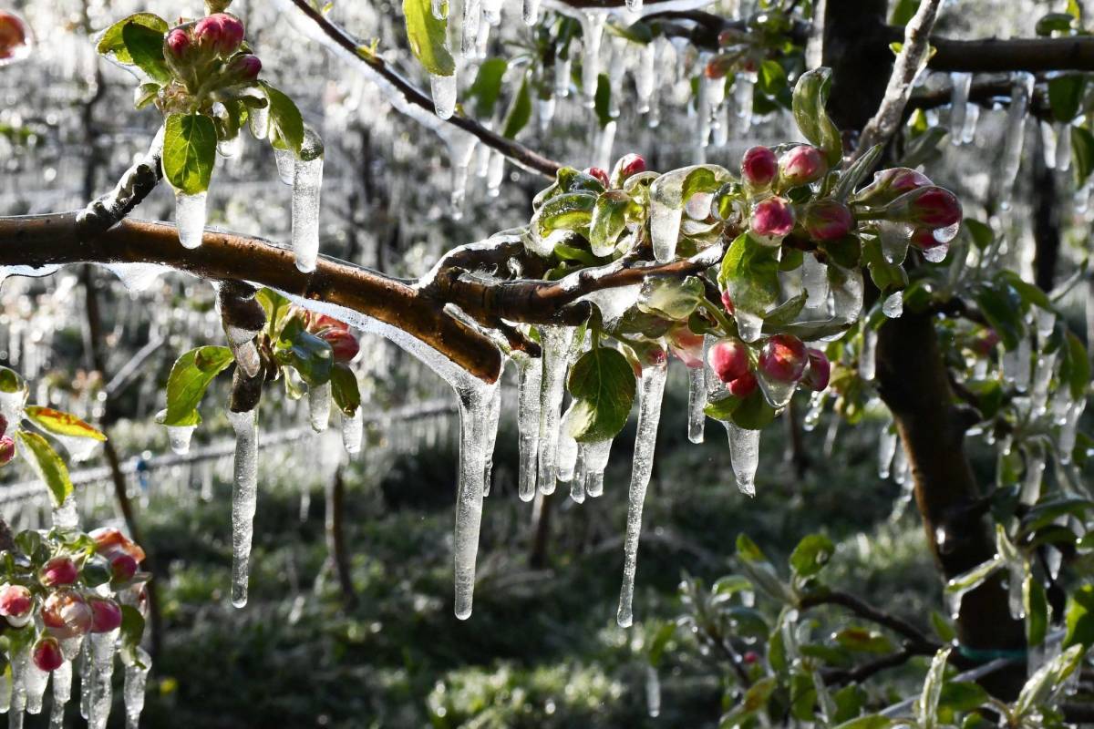 Antalya için uyarı geldi! Valilik alarm verdi