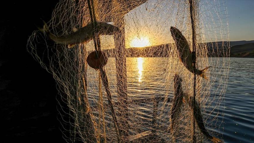 Türkiye genelinde av yasağı başladı!