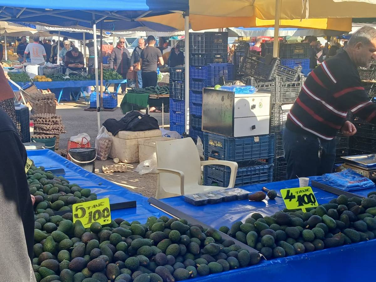 Pazarda avokado fiyatları dikkat çekti!