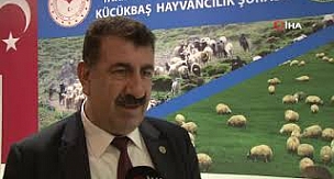 TÜDKİYEB Başkanı Çelik'ten çoban sorununa acil eylem çağrısı 
