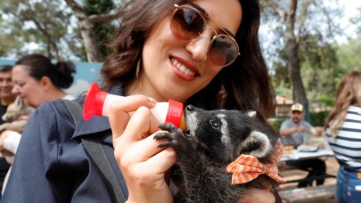 Antalya Doğal Yaşam Parkı'nda Anlamlı Anneler Günü: Öksüz Hayvanlara Şefkat Eli Uzandı