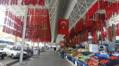 Kurutmalıklar yurt dışına açıldı